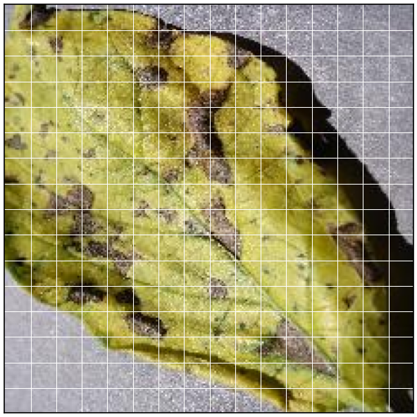 A 16 by 16 grid over the aligned input image