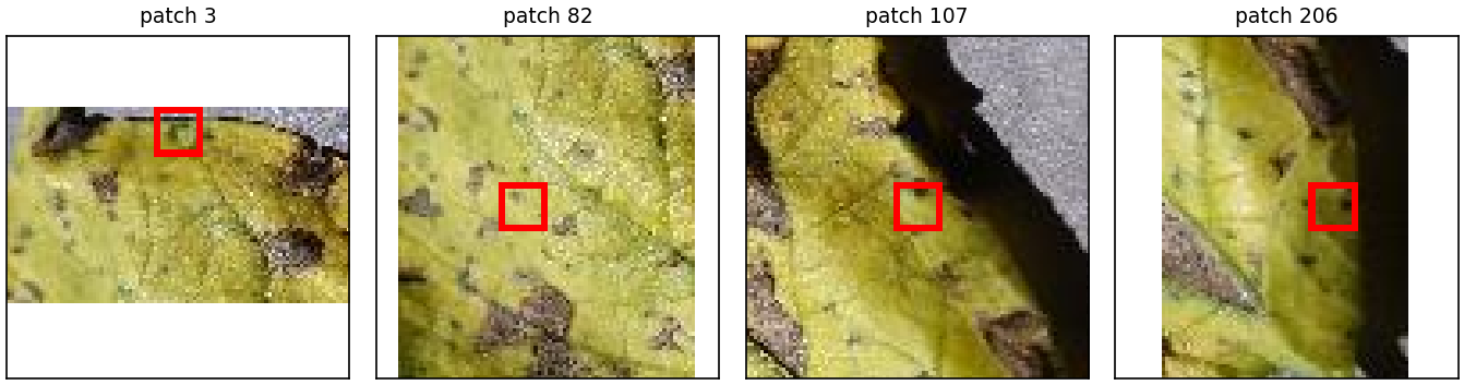 Context crops with the activating patch highlighted