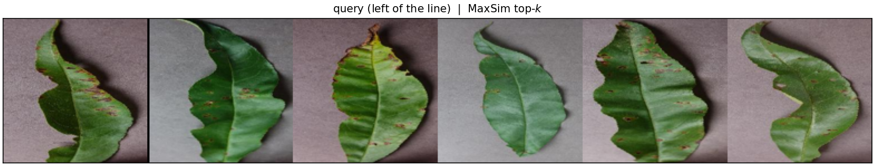 Query image followed by the top MaxSim retrieval results