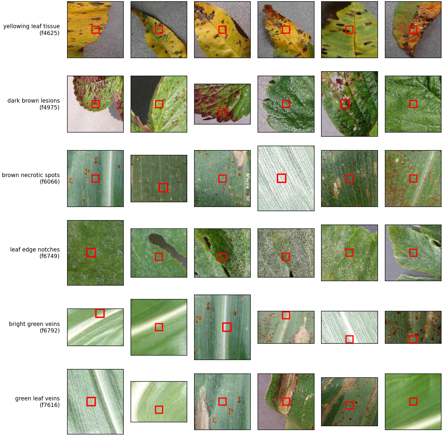 Gallery of named sparse visual features and their strongest patches